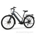 LZIP ELEKTRISCHE BIKE LC02